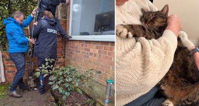 Woman reunited with cat after four years